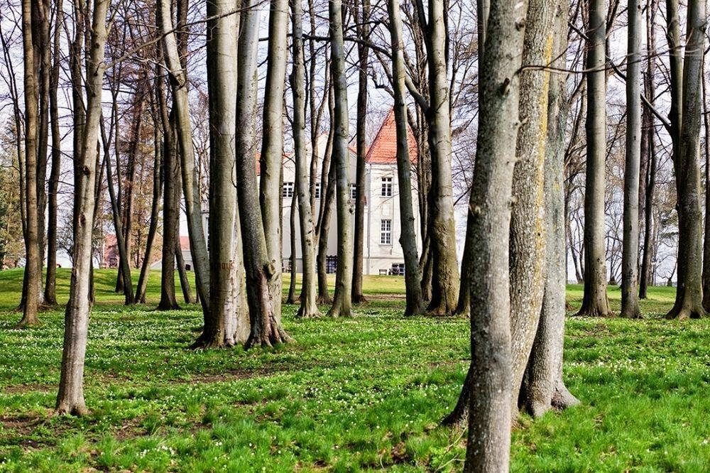 Zespol Palacowy Pacoltowo Na Wylacznosc Kültér fotó